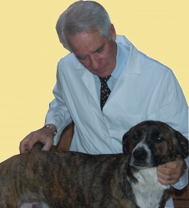 Dr. Richard Patton treating dog