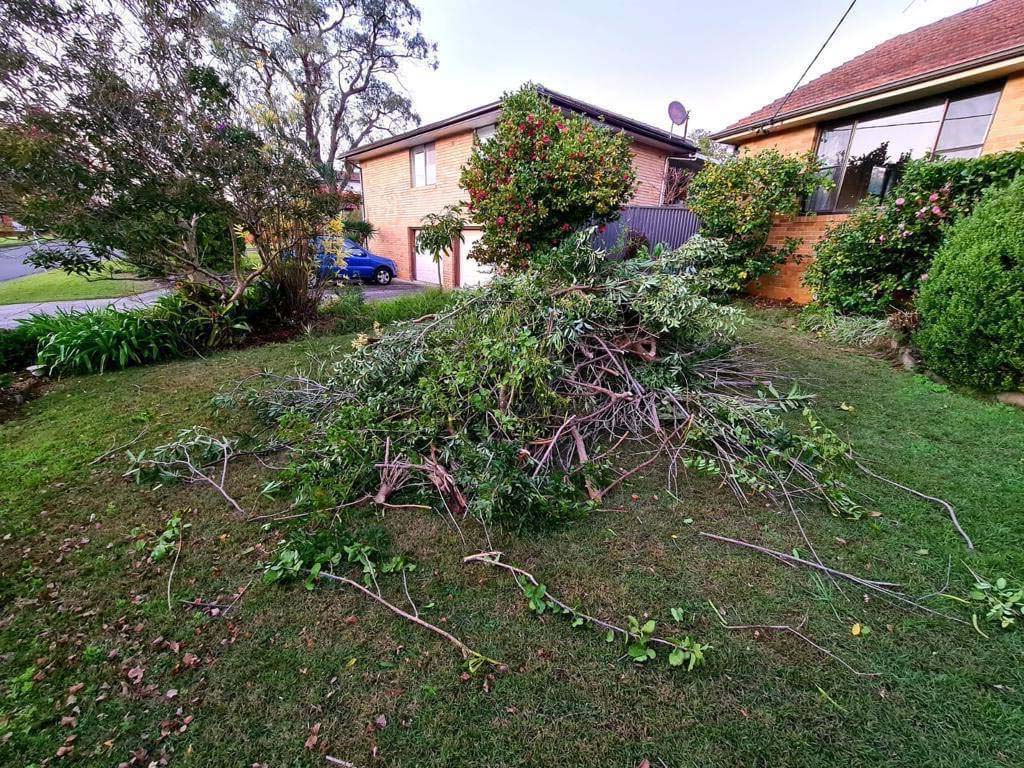 Green Waste Removal
