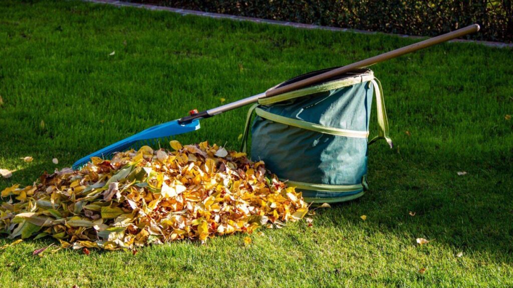 Green Waste Removal