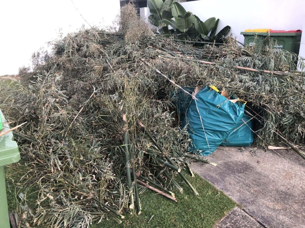 Green Waste Removal