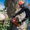 How Cheltenham Tree Removal Differs On Steeply Sloped Blocks